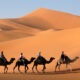 camel ride marrakech