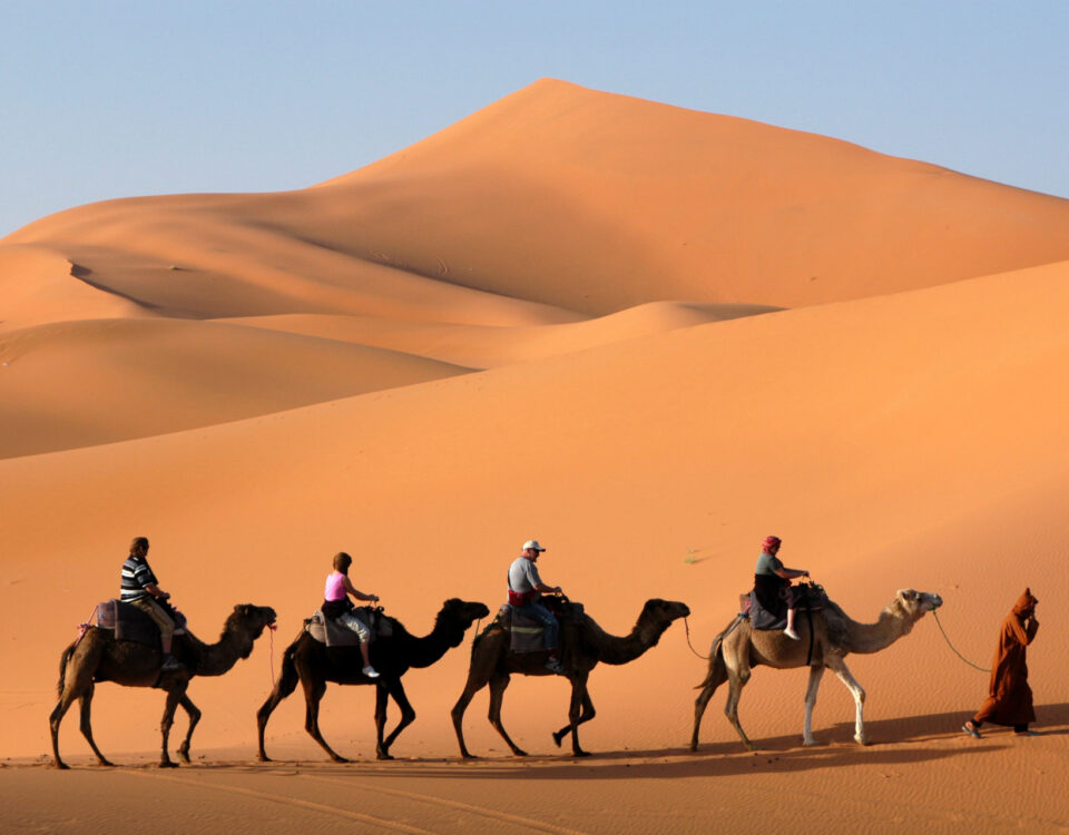 camel ride marrakech